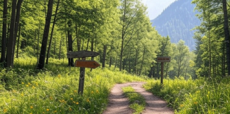 Cómo los Golfistas de Élite Gestionan la Presión: Técnicas Mentales y Ejemplos Reales Sendero con señales claras a lo largo del camino, simbolizando la dirección y la toma de decisiones hacia el éxito.