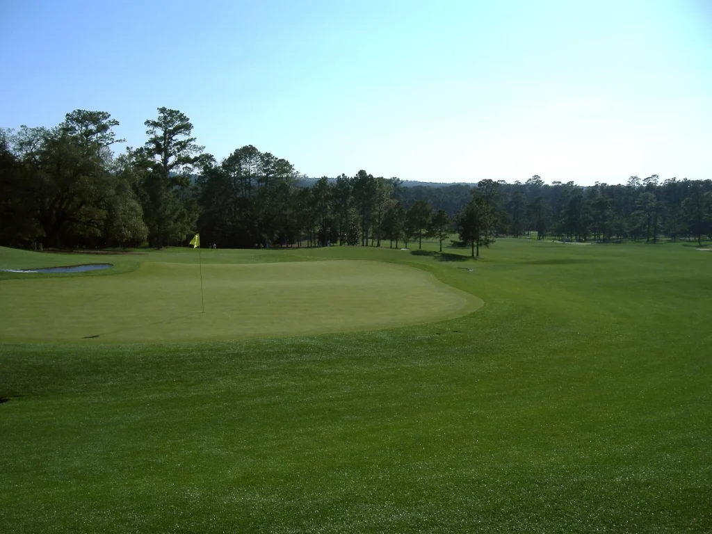 Imagen que muestra el famoso green del hoyo 18 en Augusta National Golf Club, rodeado de bunkers y con el fairway que lleva hasta él. Esta área es crucial para los momentos finales del Masters, donde se deciden muchas de las victorias más memorables del torneo.