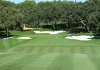 Dónde ver el LIV Golf Andalucía 2026 en directo: canales, horarios y plataformas por país Calle del Club de Golf Valderrama con el green al fondo, mostrando el diseño característico del campo.