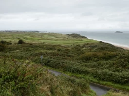 Vista panorámica del campo Royal Portrush con dunas, greenes elevados y mar de fondo